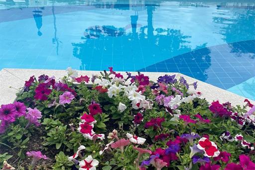 whatsapp image 2024-01-18 at 10.06.50.jpeg