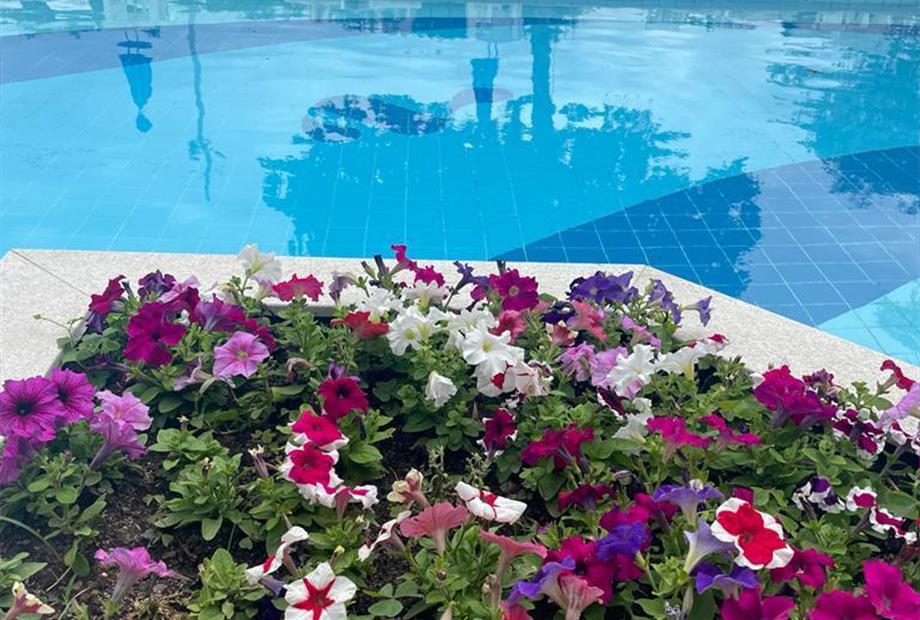 whatsapp image 2024-01-18 at 10.06.50.jpeg