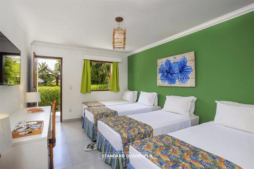 standard quadruplo (1).jpg