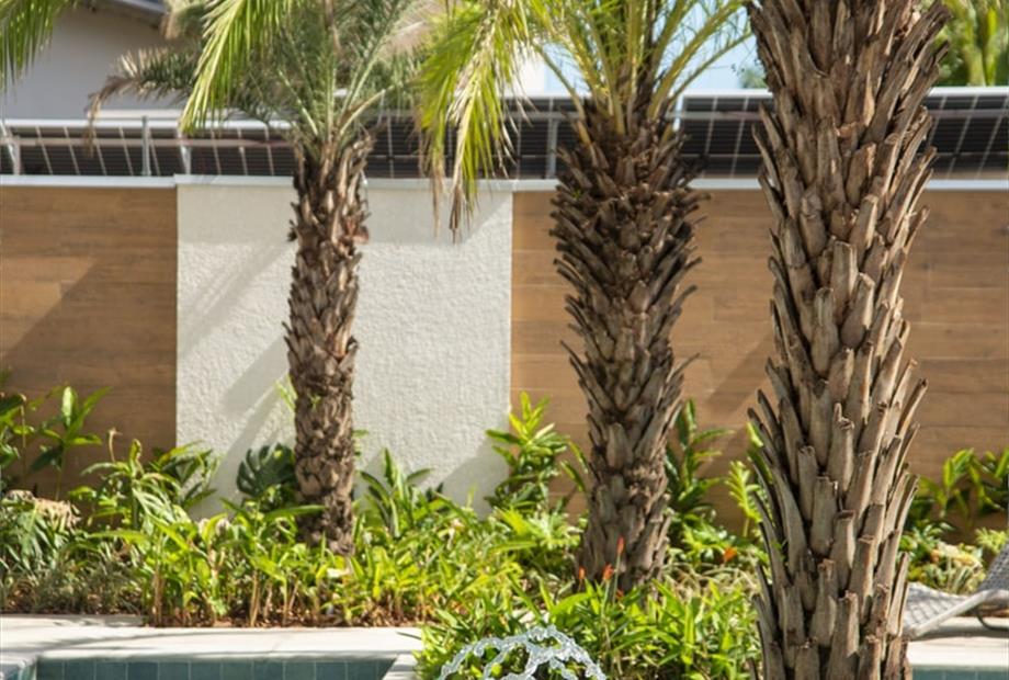 _egc1148 (2) (1) (1).jpg