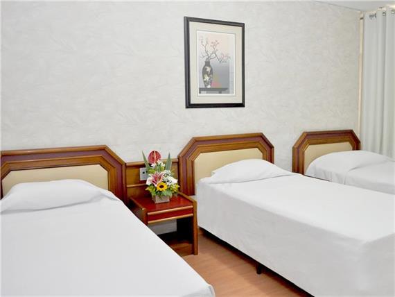 TRIPLO SOLTEIRO 3.JPG