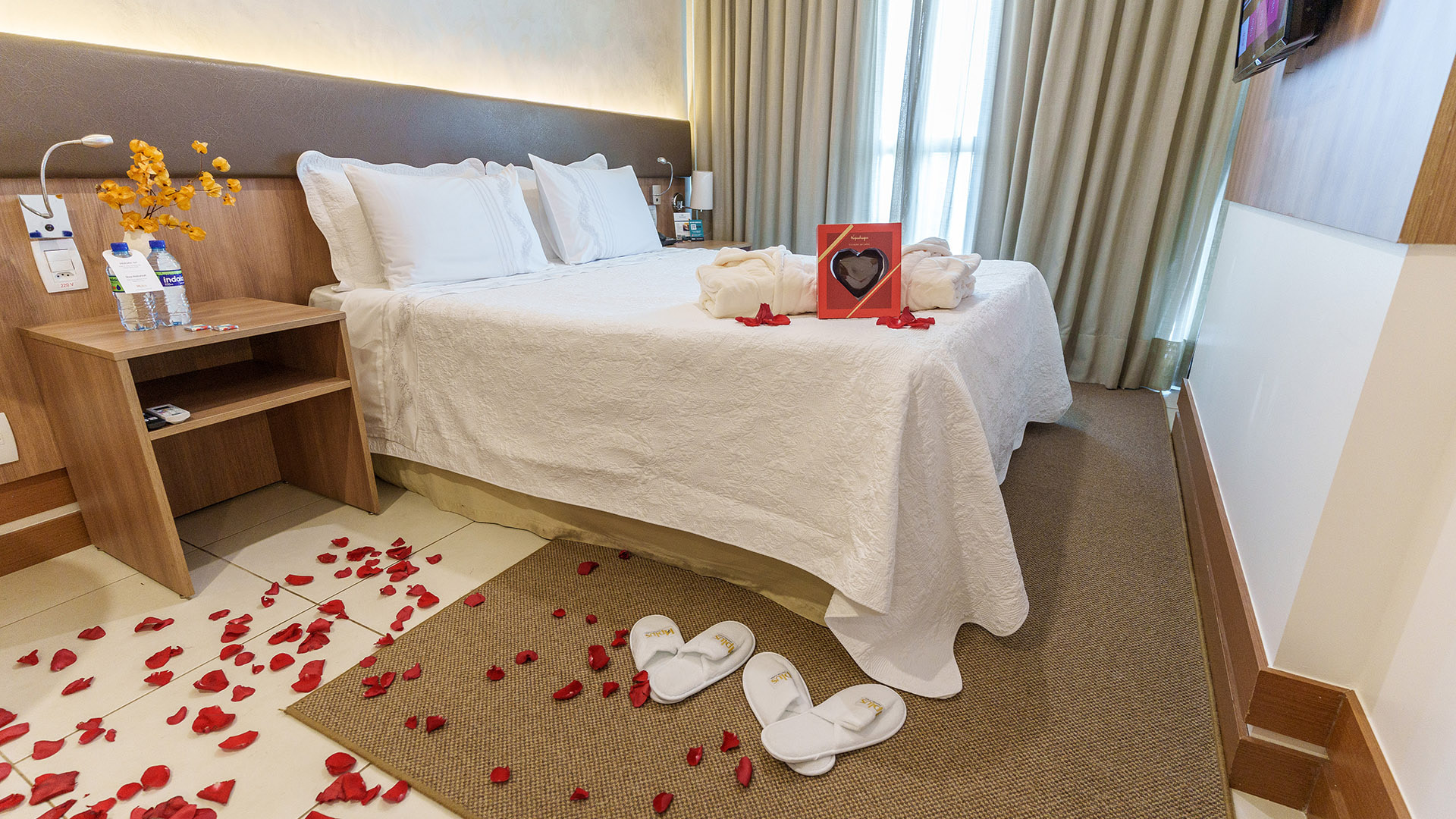 Illustrative image of Athos Bulcão Hplus EXECUTIVE