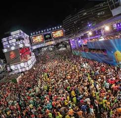 whatsapp image 2026-02-03 at 11.17.11.jpeg