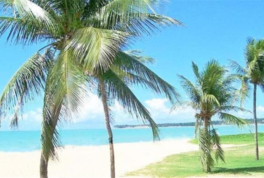 foto 127 - 720x384px - horizontal.jpg