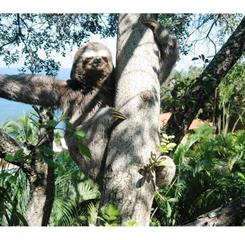 foto 12 30.04.10.JPG