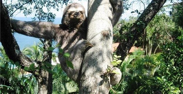 foto 12 30.04.10.JPG