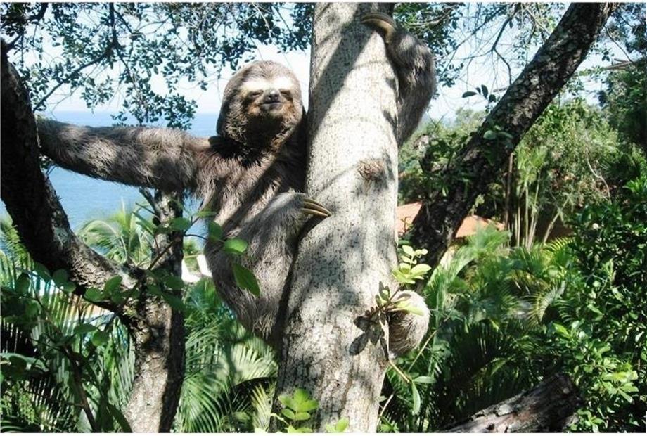 foto 12 30.04.10.JPG