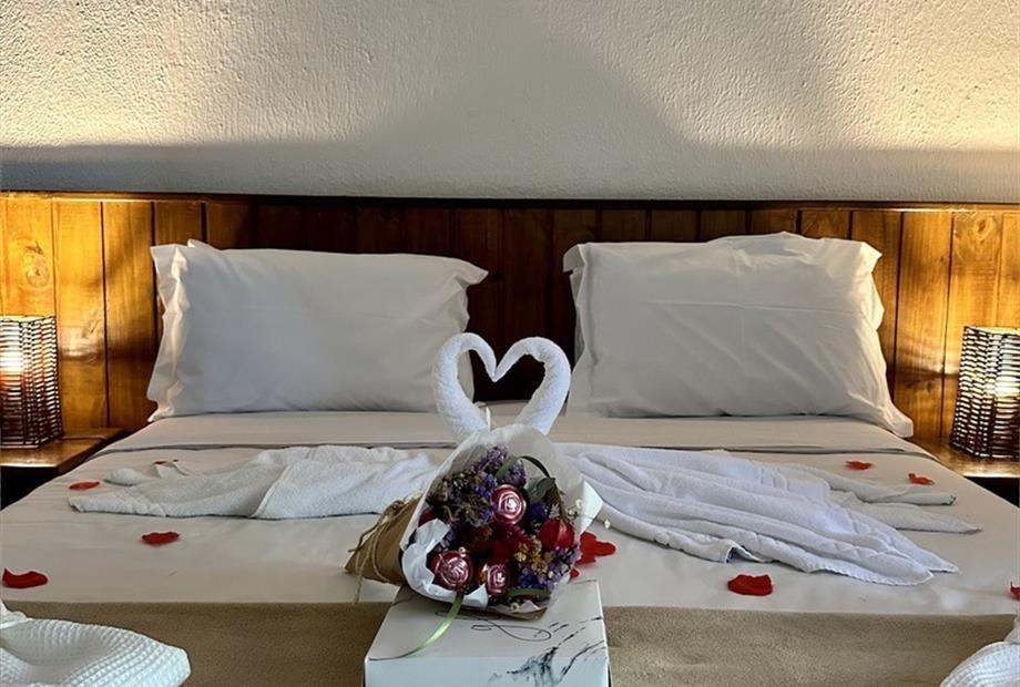 cópia de img_9826.jpeg