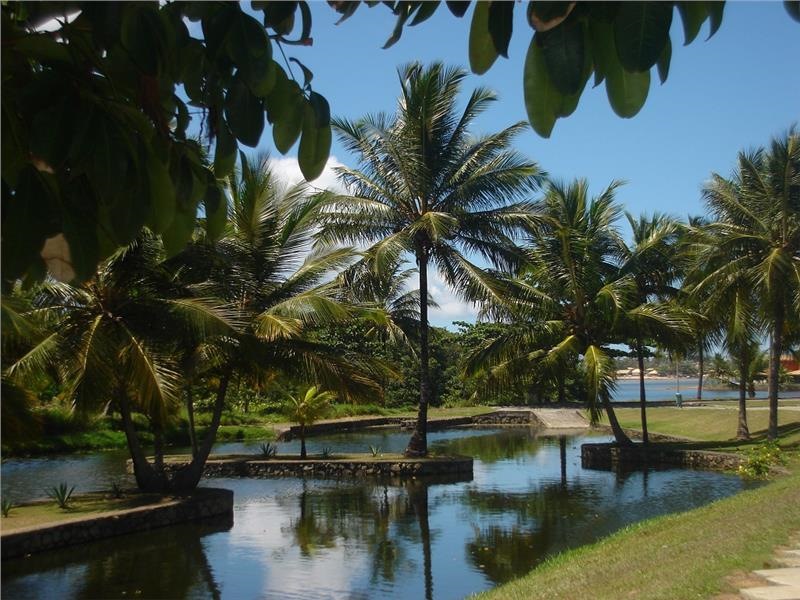 jardim m.jpg