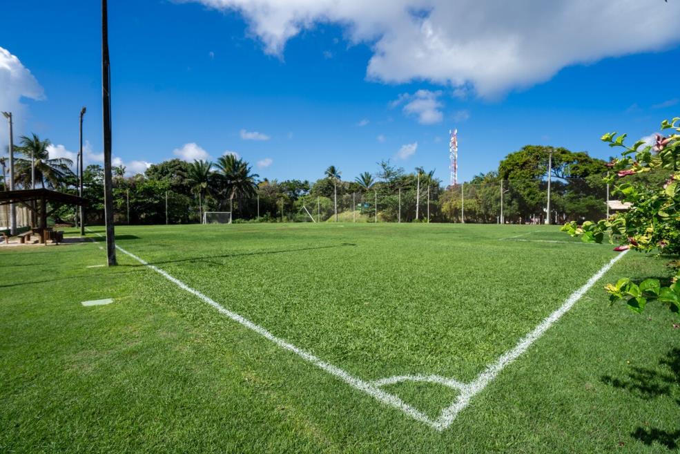 bahia (1).jpg