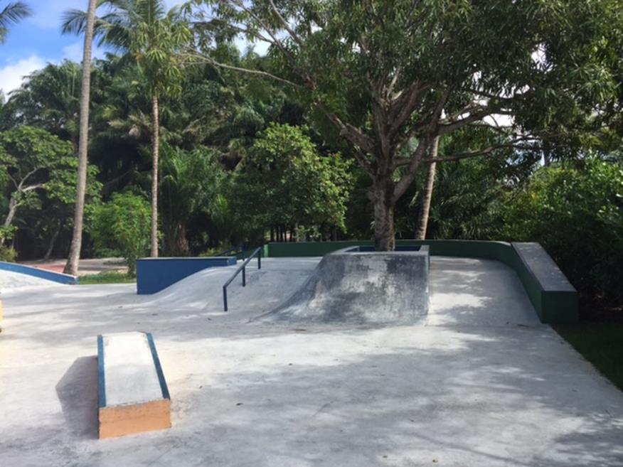 skate.jpg