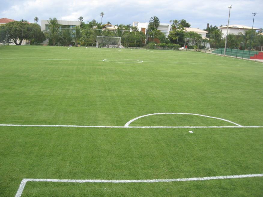 bahia15.jpg