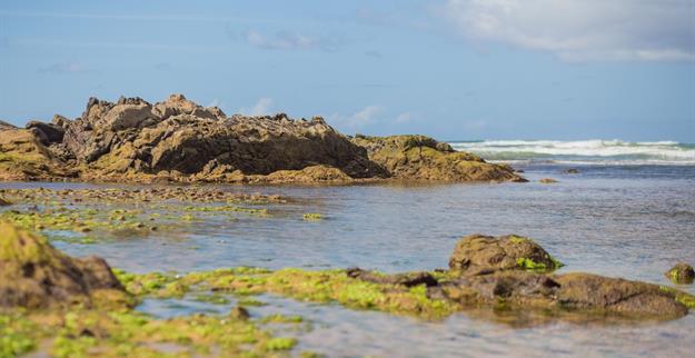 booking engine (4).jpg