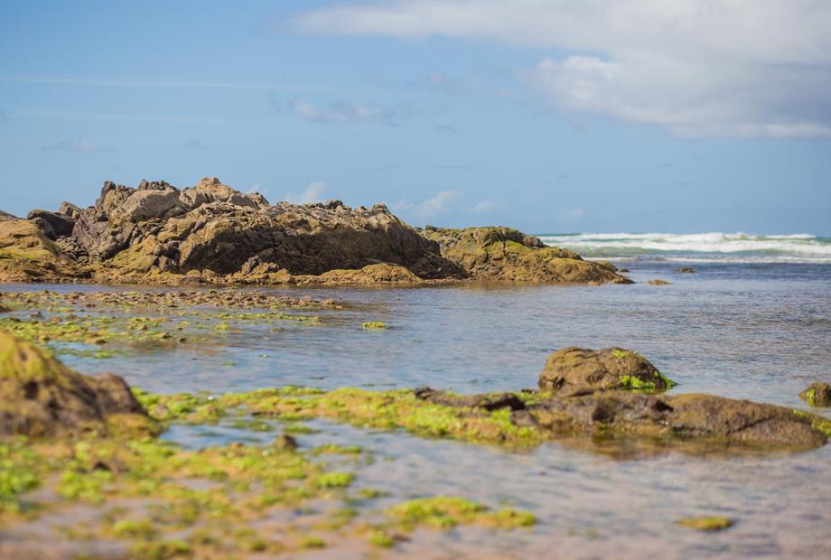 booking engine (4).jpg