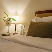 Luxo Família Com Cama Extra