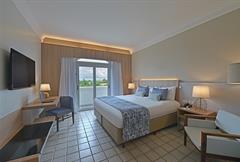 Superior Luxury Room With 1 Quee Size Bed