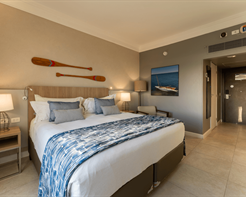 Quarto Premium Com 1 Cama Queen Size