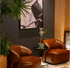 captura de tela 2025-02-18 112510.png