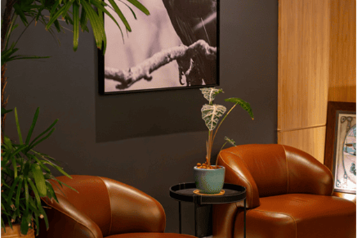 captura de tela 2025-02-18 112510.png