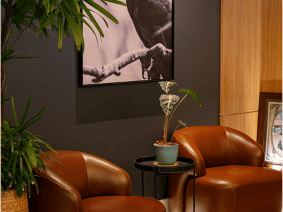 captura de tela 2025-02-18 112510.png