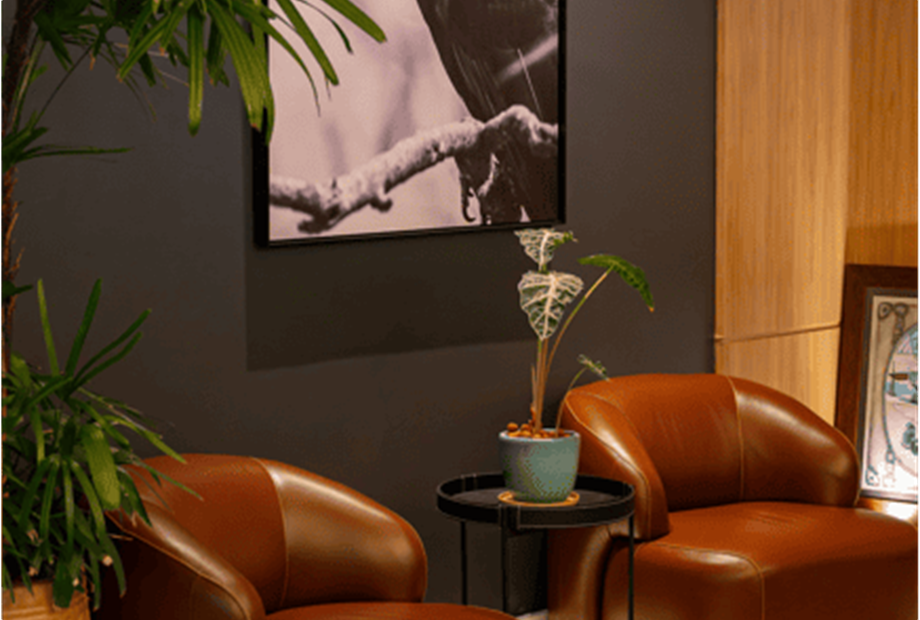 captura de tela 2025-02-18 112510.png