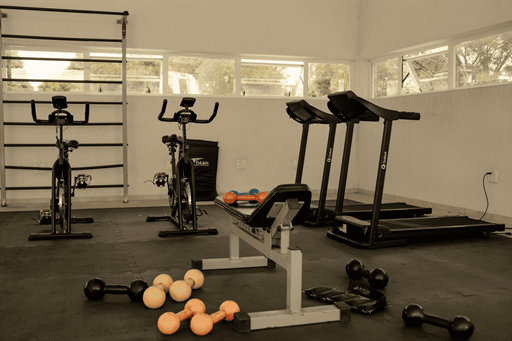 design sem nome (16).png