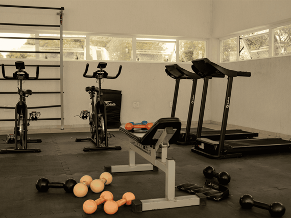 design sem nome (16).png