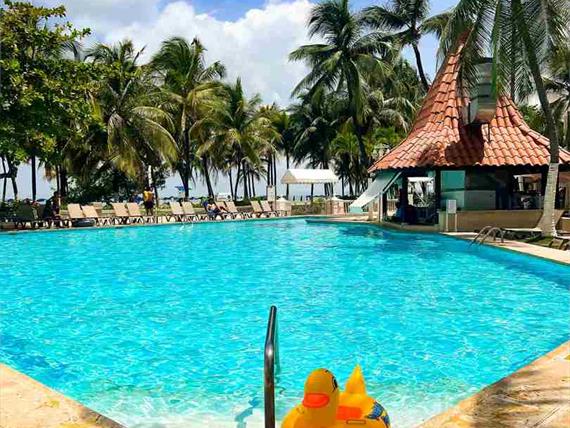 ha 01 09 2023_20_11zon.jpg