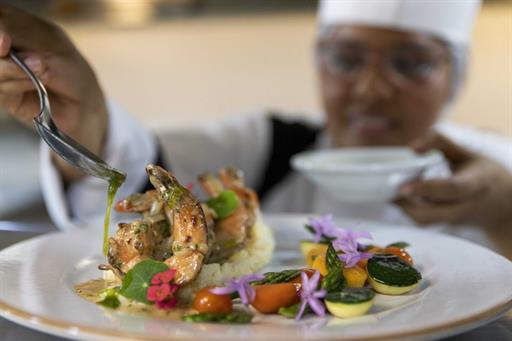 copia de fotos américas ommnibees (2) 4.jpg