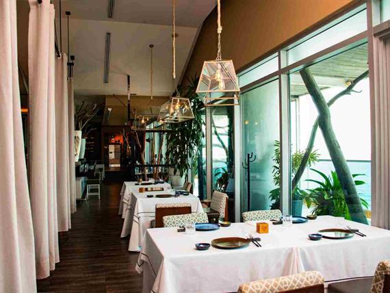 erre 13 12 2023_15_11zon.jpg