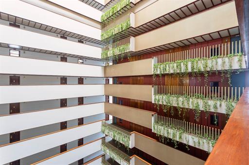 whatsapp image 2025-02-26 at 17.43.26.jpeg