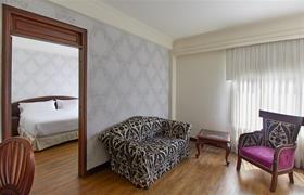Habitación Junior Suite de HOTEL CASTILLA REAL