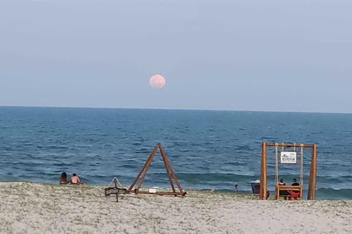 whatsapp image 2024-02-19 at 12.09.56 (2).jpeg