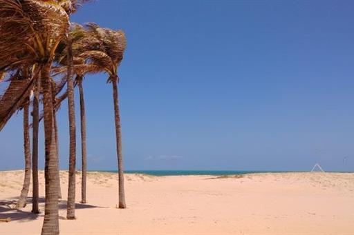 20171126_113820 E.jpg