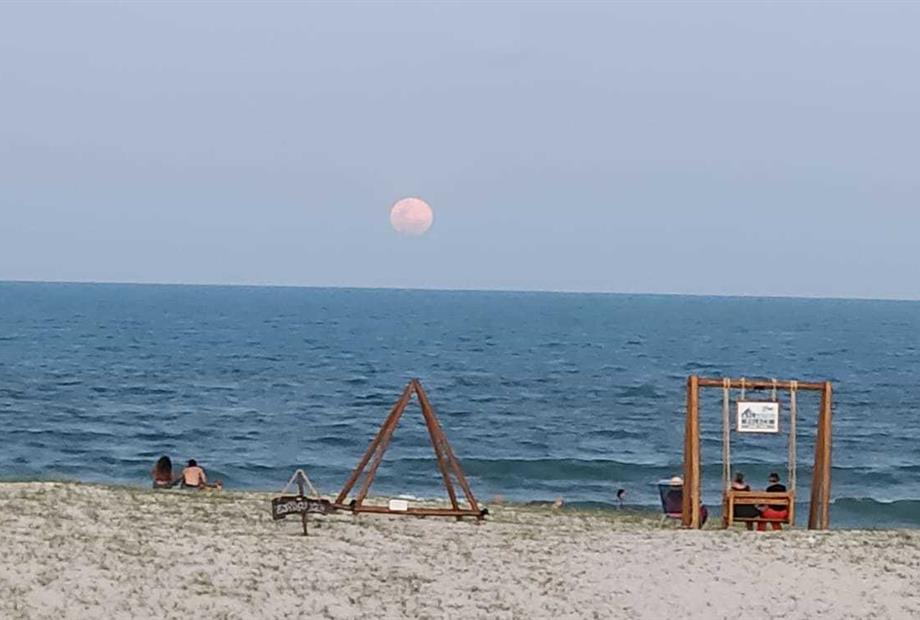 whatsapp image 2024-02-19 at 12.09.56 (2).jpeg