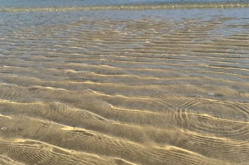 whatsapp image 2023-06-26 at 09.46.05 (2).jpeg