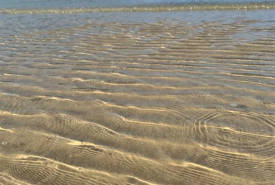 whatsapp image 2023-06-26 at 09.46.05 (2).jpeg