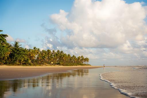 tororomba - estrutura-86.jpg