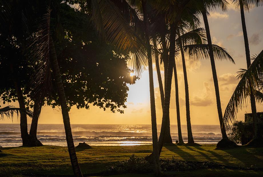 tororomba - estrutura-81 (3).jpg