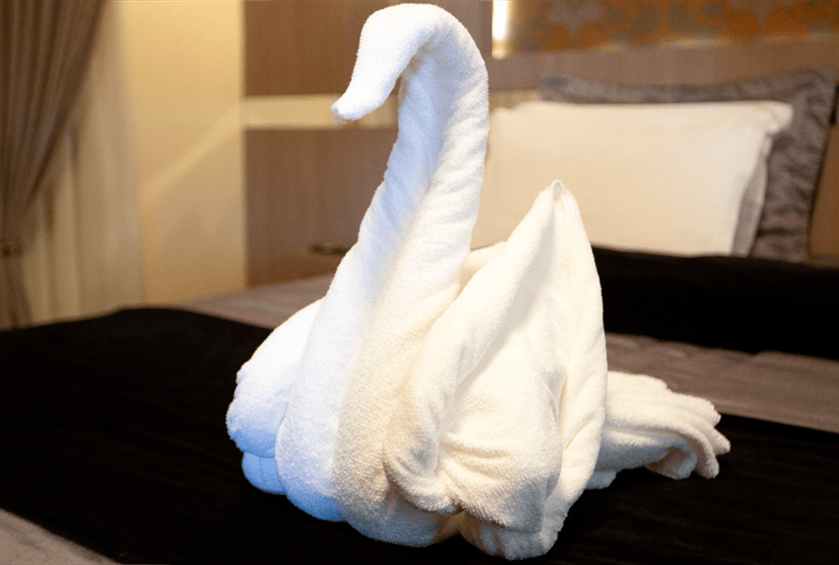 cisne 1-a.png