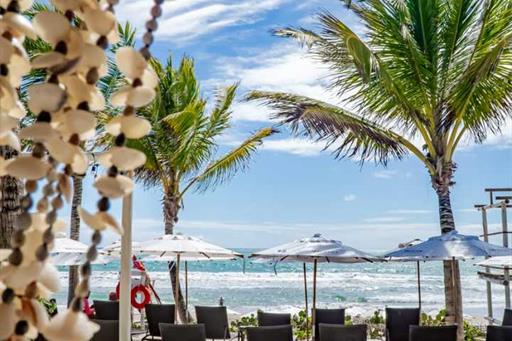 whatsapp image 2024-01-03 at 12.10.20.jpeg