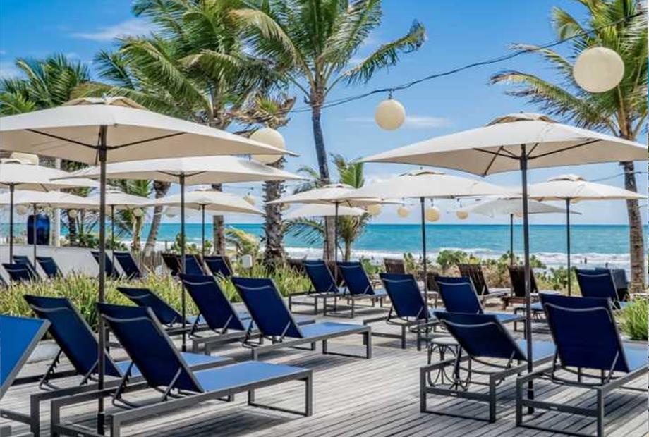 whatsapp image 2024-01-03 at 12.10.19.jpeg