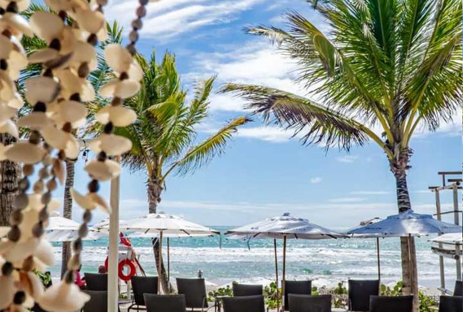 whatsapp image 2024-01-03 at 12.10.20.jpeg