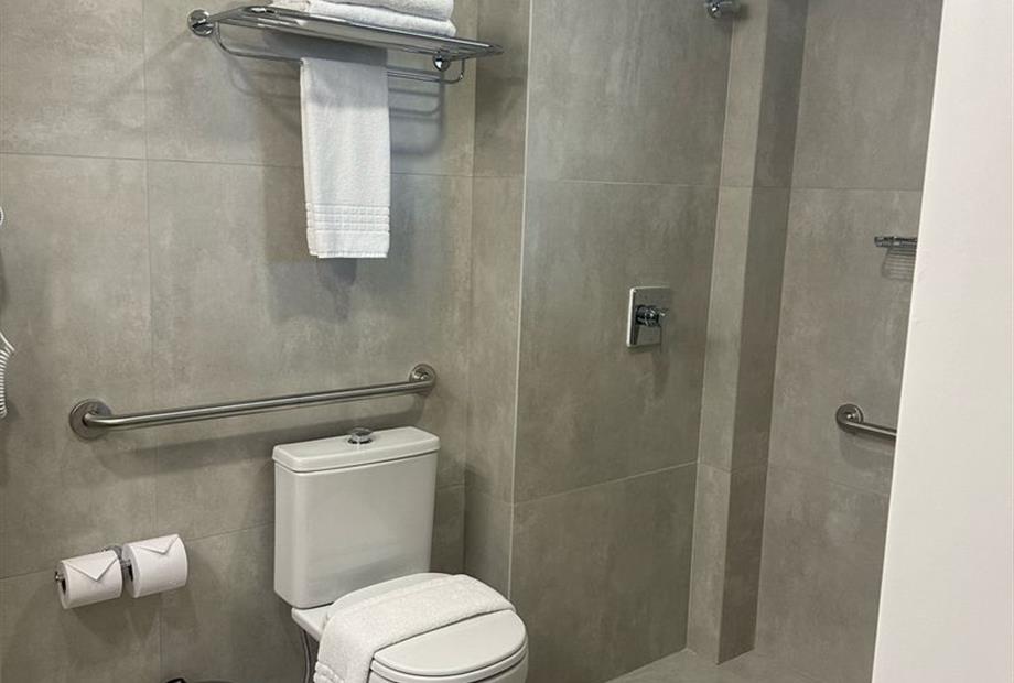 foto banheiro pne.jpeg