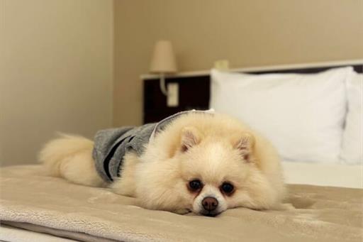 whatsapp image 2025-06-29 at 22.20.35.jpeg