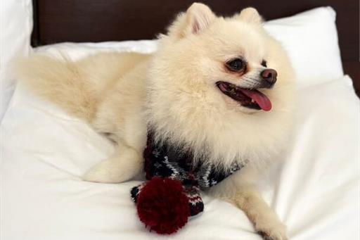 whatsapp image 2025-06-29 at 22.20.36 (1).jpeg