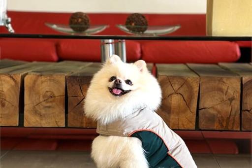 whatsapp image 2025-06-29 at 22.20.37 (2).jpeg