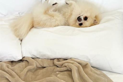 whatsapp image 2025-06-29 at 22.20.36 (2).jpeg