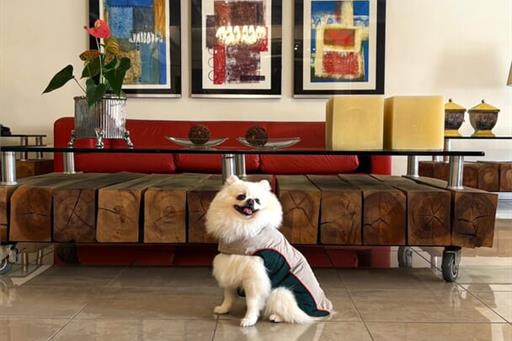 whatsapp image 2025-06-29 at 22.20.37.jpeg