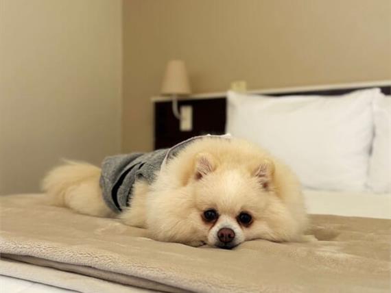 whatsapp image 2025-06-29 at 22.20.35.jpeg